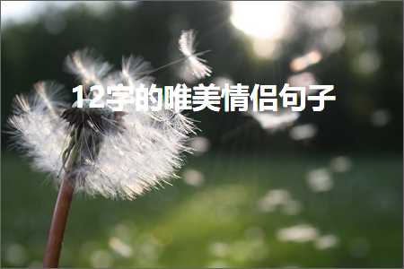 12字的唯美情侣句子（文案118条）